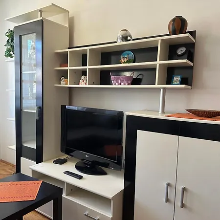 Tulipan * Σόμπορ